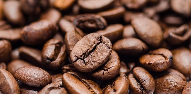 Specialty Coffee Beans: What is Speciality Coffee? - The Sip Emporium