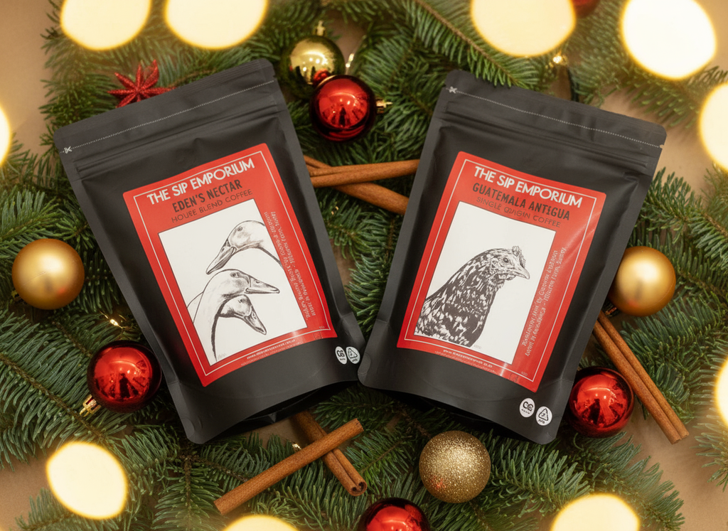 Smooth Altitude Coffee - High Angle